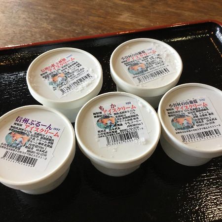 小谷村 ペンション　ホビー白馬乗鞍ヴィラ エクステリア 写真